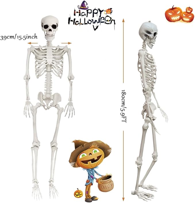 1Pcs 5.9ft Life Size Human Skeleton with Movable Joints for Halloween Haunted House Decoration