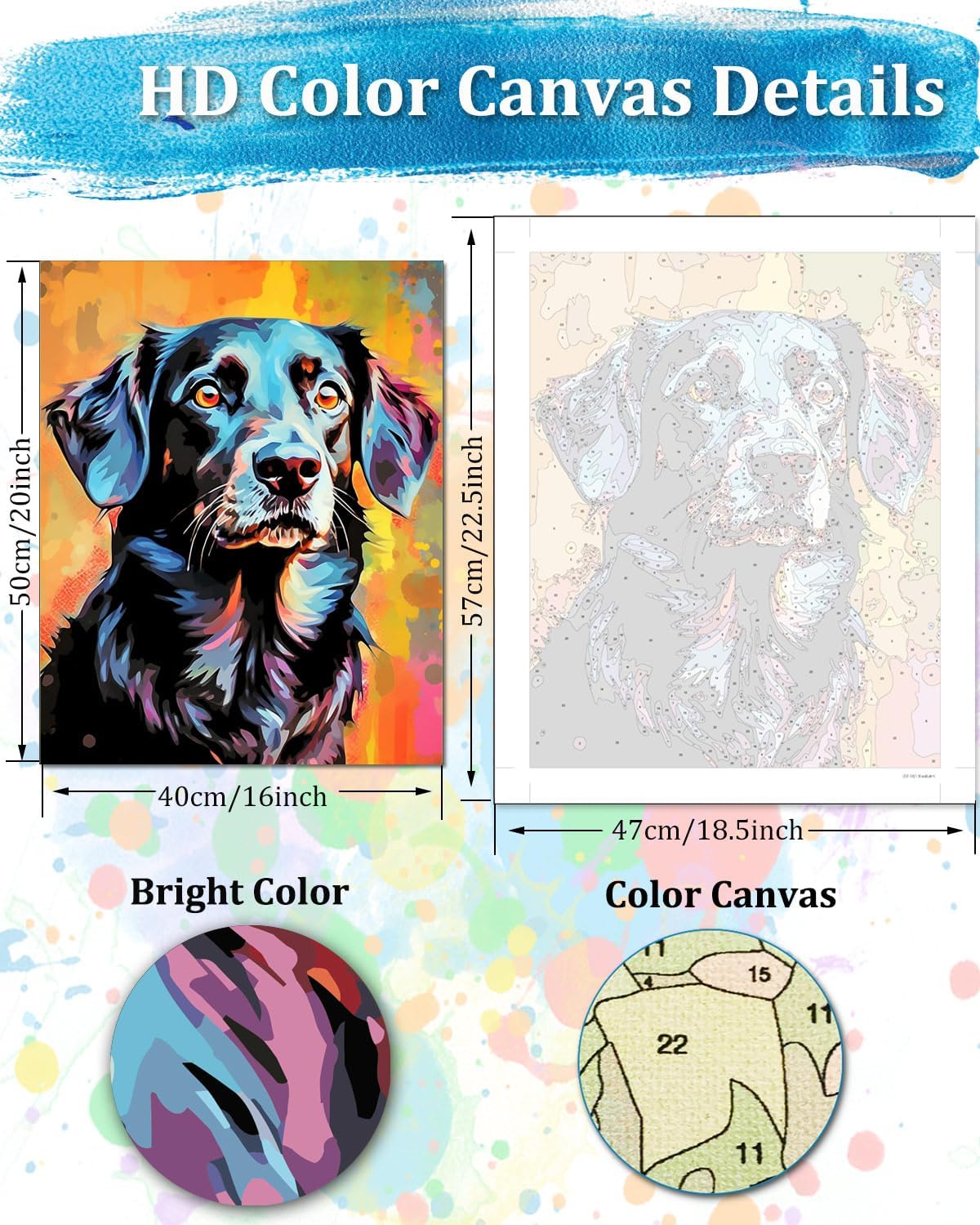 Paint by Numbers Kit for Adults – Black Labrador Canvas, Dog Paint by Numbers, 16x20 inch, Beginner Friendly (No Frame)