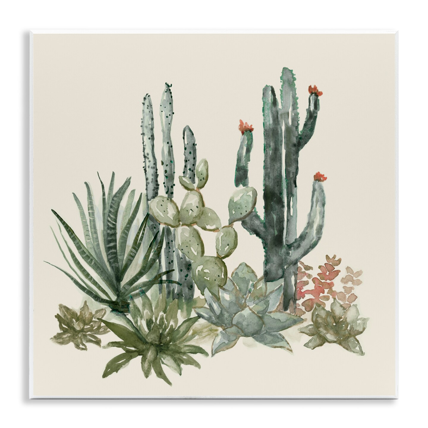 Stupell Industries Mojave Green Succulents Wall Plaque Art, design by Nan