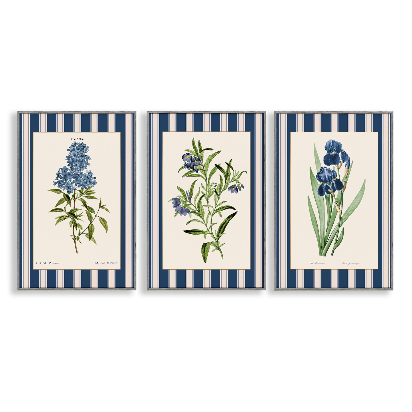 Stupell Industries Vintage Plant Studies over Stripes 3 Piece Black Framed Giclee Art Set, design by Corinne Haig