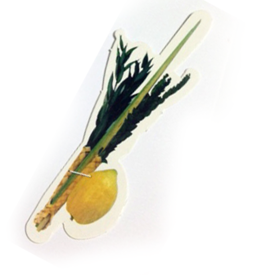 Arba Minim Cutouts 5" – 40 Pack Religious Holiday Craft Shapes for Classroom & DIY Projects