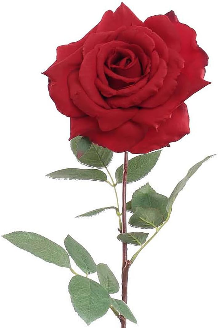 Crimson Charm: 6-Pack of 30&#x22; Silk Red Queen Anne Rose Stems with Realistic Foliage and Stem - Perfect for Valentine&#x27;s Day, Weddings, and DIY Floral Arrangements