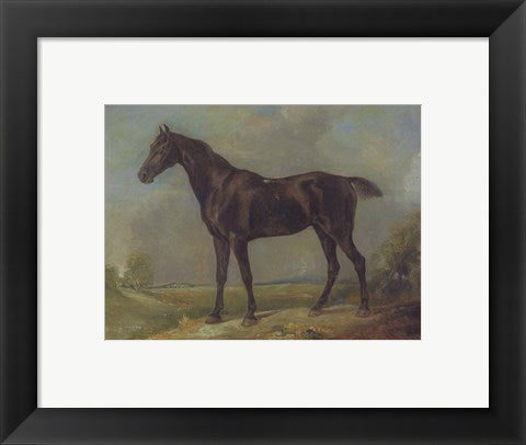 Framed Art Golding Constable's Black Riding-Horse by John Constable Wall Decor 18x24 Artwork