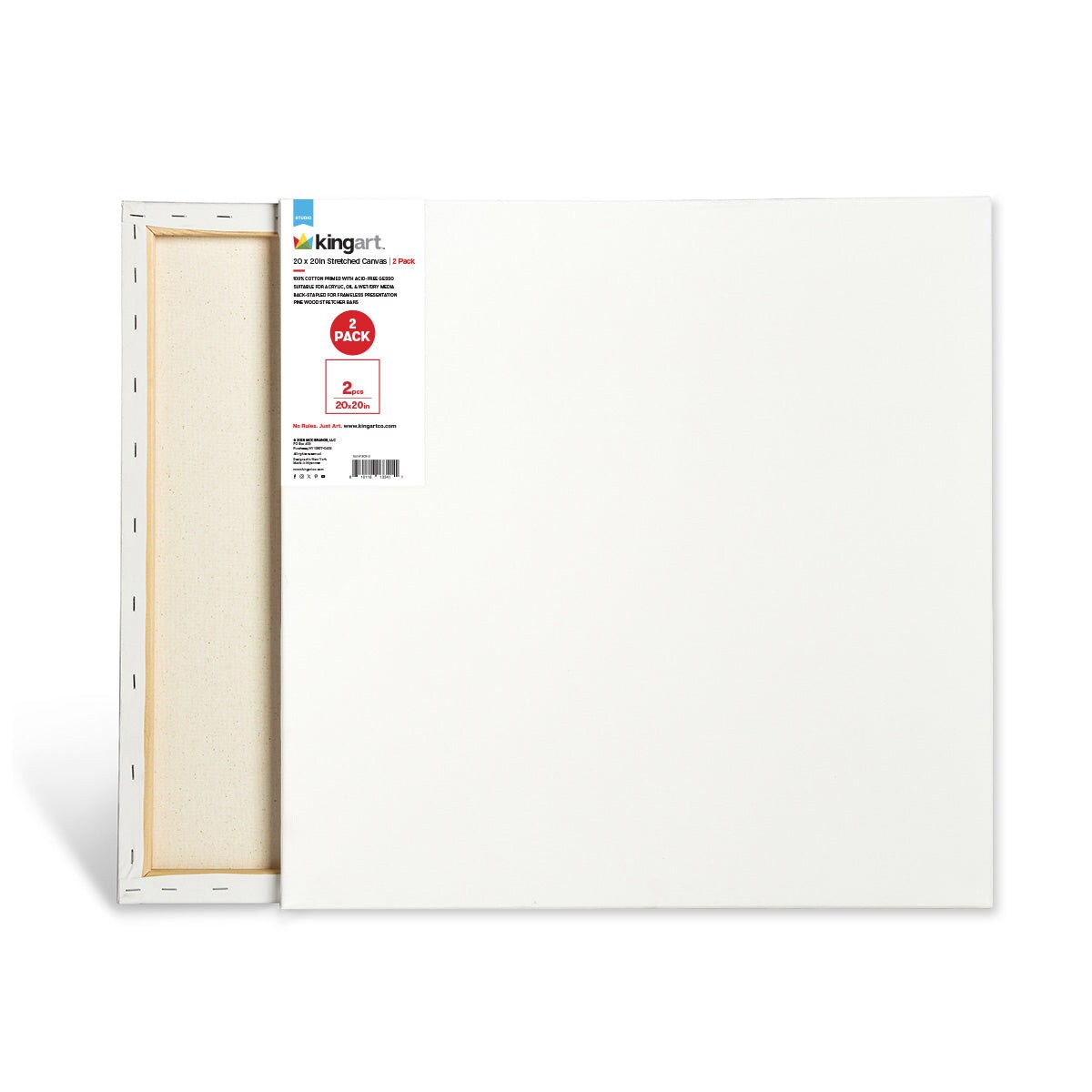 KINGART&#xAE; Stretched Canvas 20x20 2 pc