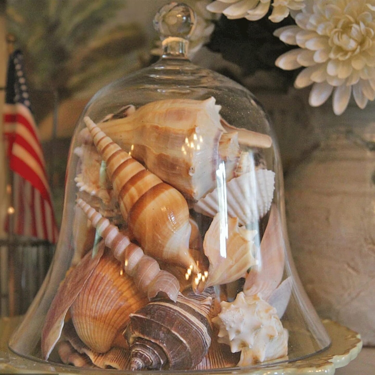 Sea Shells Mixed Beach Seashells 20 Kinds, 1.5"-5.5" Various Sizes Large Ocean Shells Conch 2 Kinds Natural Starfish for Decorating Beach Theme Party Fish Tank Filling Home Decor Wedding