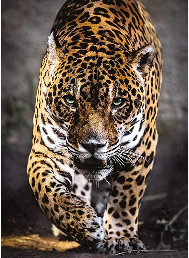 5D DIY Diamond Art Painting Kits for Adults Full,Leopard Full Drill Embroidery Paintings Rhinestone Pasted DIY Painting Cross Stitch Arts Crafts for Home Wall Decor 11.8&#xD7;15.8Inches