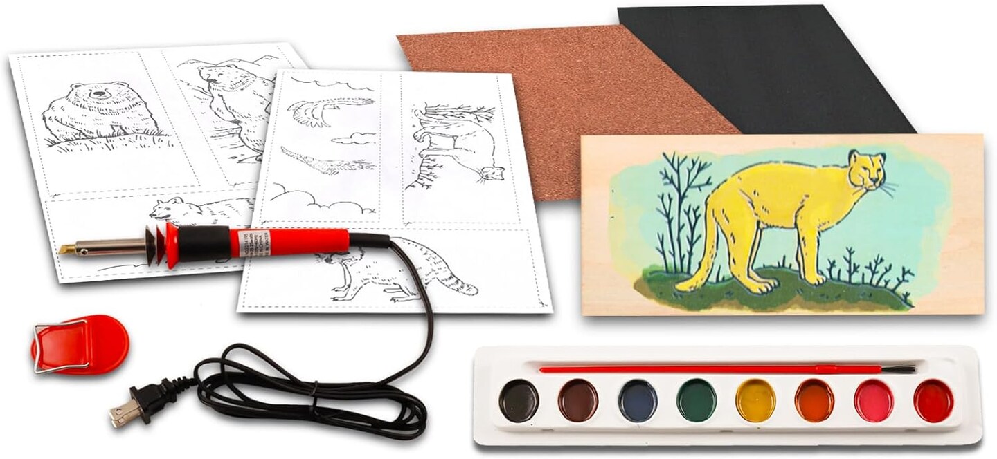Wood Burning Kit for Beginners - Bundle with Wood Engraving Pen, Paint, Tracing Sheets, More | Beginners Pyrography Wood Burning Craft Project