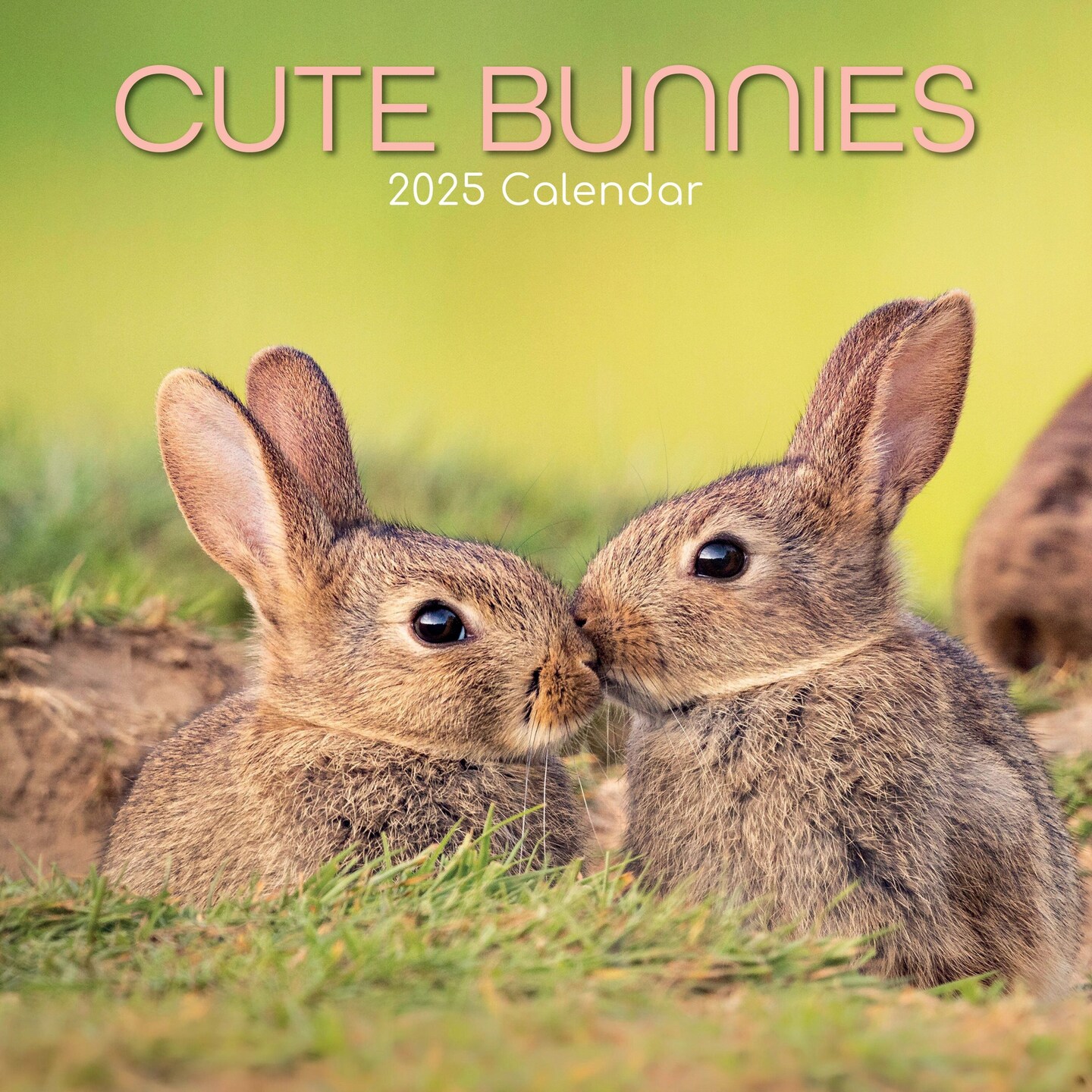 The Gifted Stationary 2025 Square Wall Calendar, Cute Bunnies, 16-Month Animals Theme Hanging Calendar with 180 Reminder Stickers, Month Planner for Home, or Creative Spaces, 12x12 In