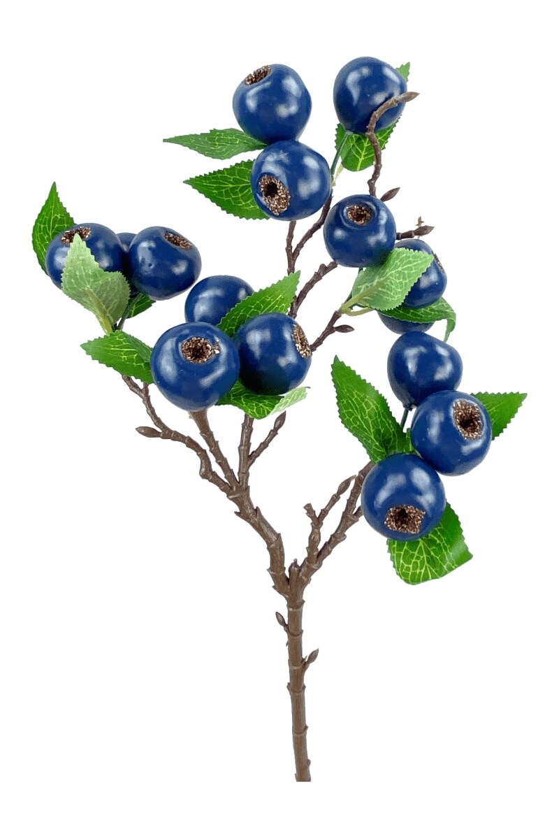 23&#x22; Blueberry Spray