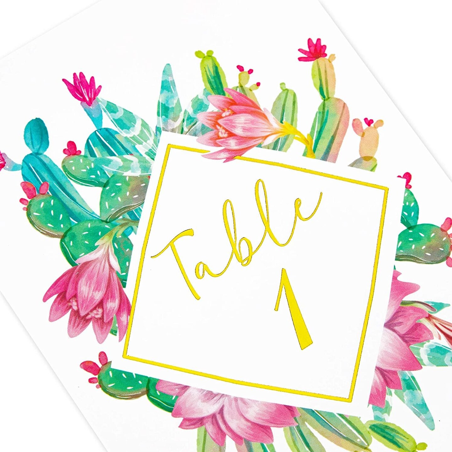 Succulent Wedding Table Numbers, 1-25, Centerpiece Decorations (4 x 6 in, 25 Pack)