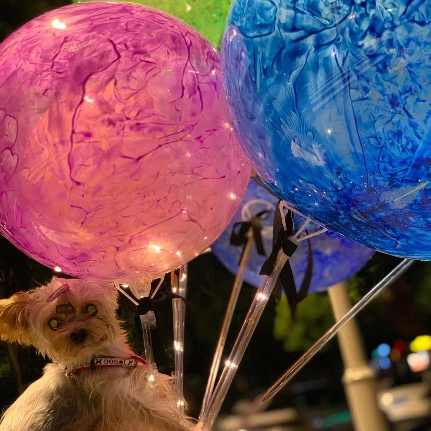 30 Sets 27" Clear Balloon Holder Sticks with Cups – Reusable Bobo Stands for 10"–30" Balloons, Birthday & Party Decor