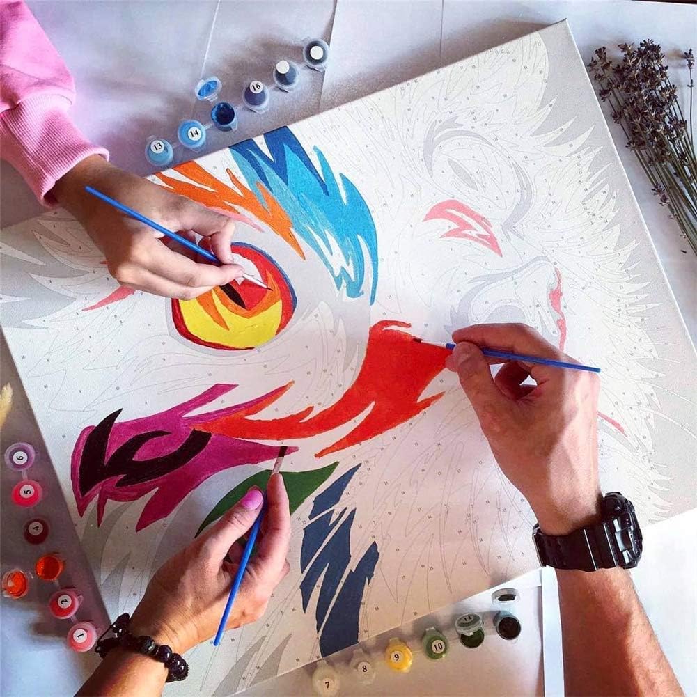 Paint by Number for Adults Kids Beginner, Paint by Numbers Kits on Canvas Painting Kits for Art Crafts Gift, Colorful Lion 16x20inch