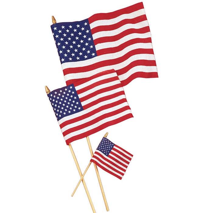 36 pc Bulk Medium Cloth American Flags