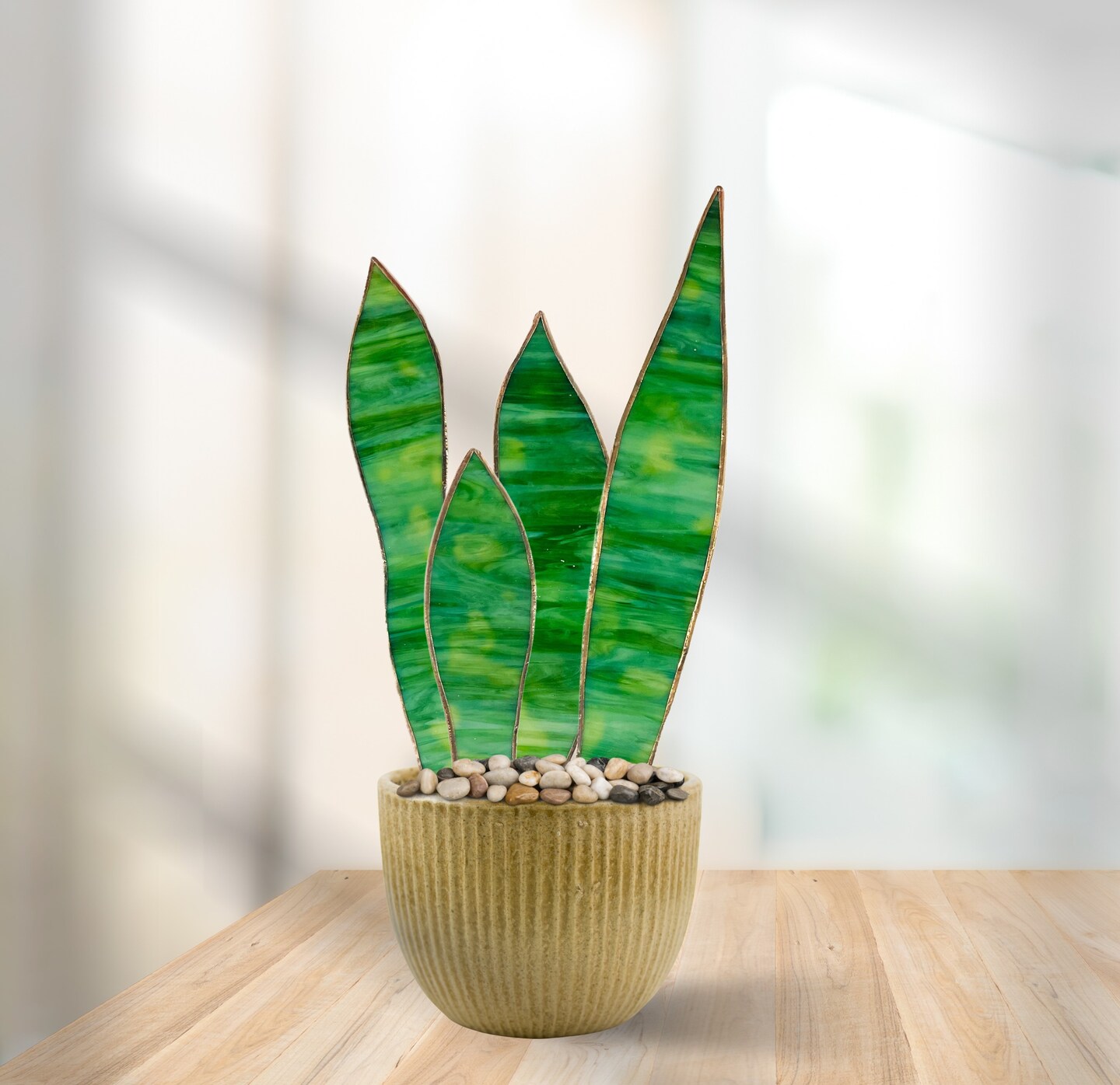 best snake plant for small apartment Snake Plant-Sansevieria 'Laurentii' main image 0