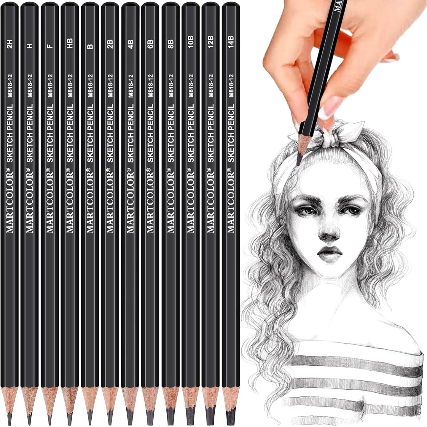 Professional Drawing Sketching Pencil Set - 12 Pieces,Graphite,(14B - 2H), Graphite Drawing, Artist Pencils for Beginners,Shading,Sketching,Drawing Art