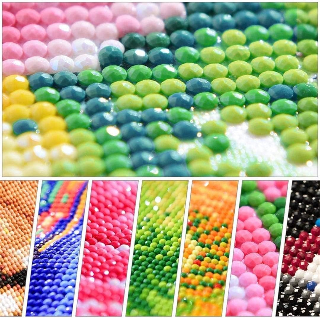 Diamond Painting by Number Kits&#xFF0C;Crystal Rhinestone Diamond Embroidery Paintings for Adults and Beginner