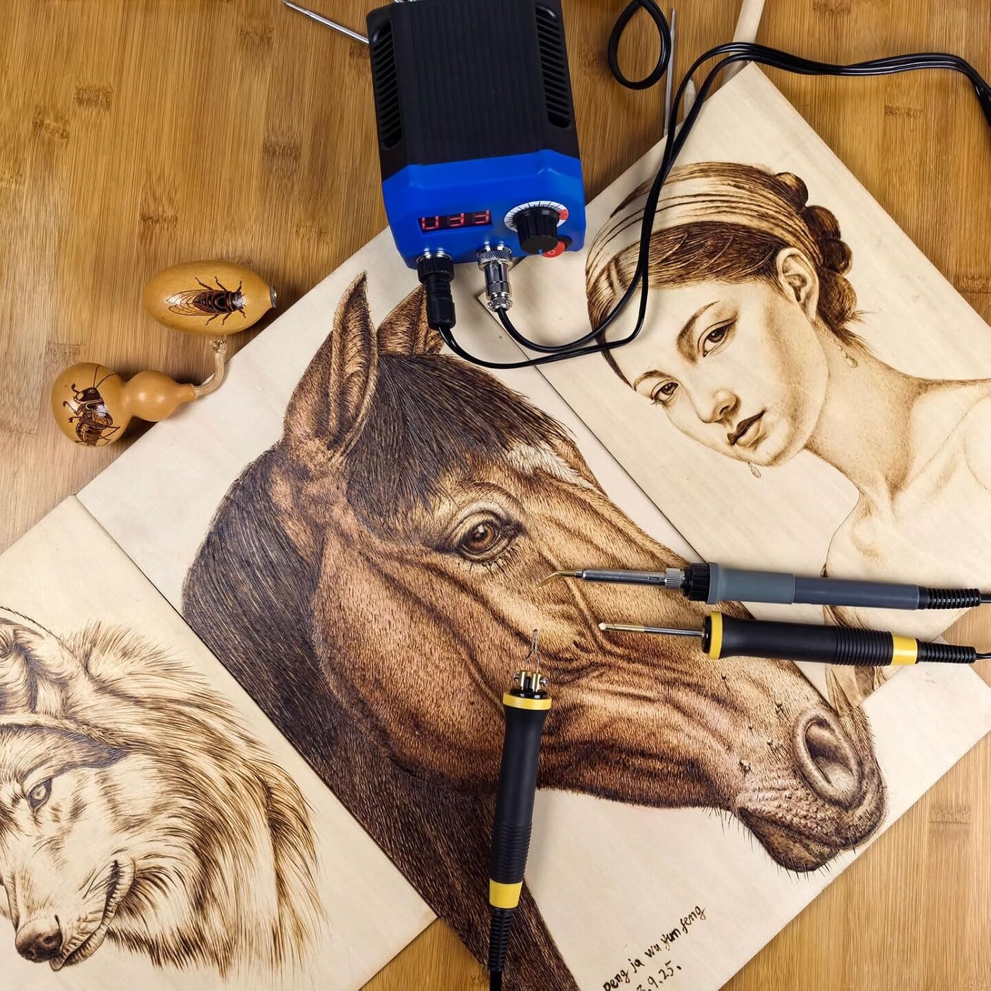 LH55-2-3 Wood Burner kit Wood Burning Tool Pen 25~750&#x2103;, Wood Burning kit with Digital Thermometer Temperature Adjustable Temperature, 3 pyrographic Wood Burning pens, 37 Wood Burning Pen Tips