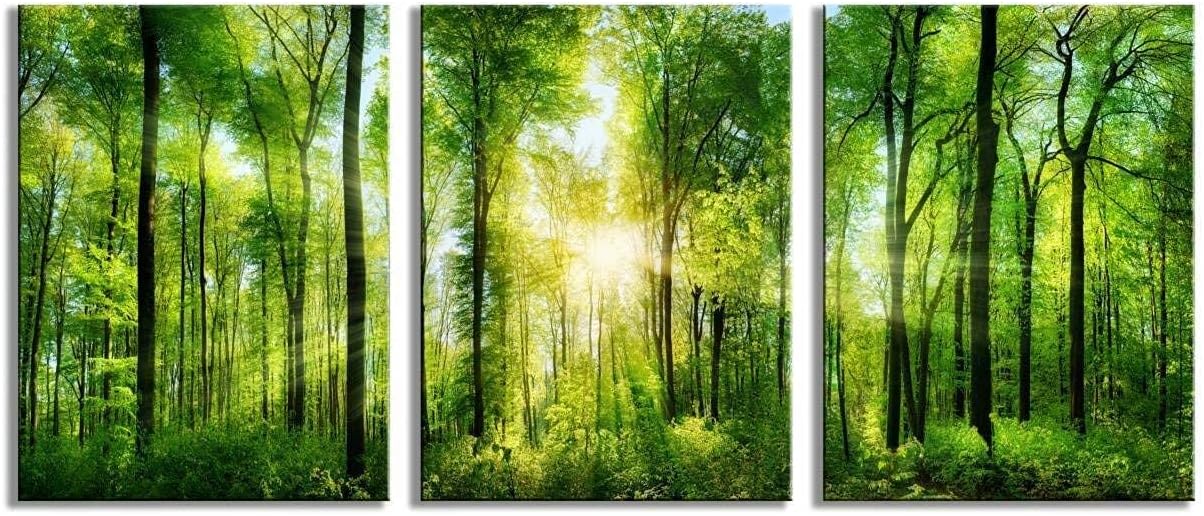 Summer Green Forest Canvas Wall Decor 12x16 inches, Home Decor with Natural Light Elements, Minimalist Canvas Print for Living Room, Bedroom, or Hallway -3 Panels Sunrise Landscape Modern Nature Art