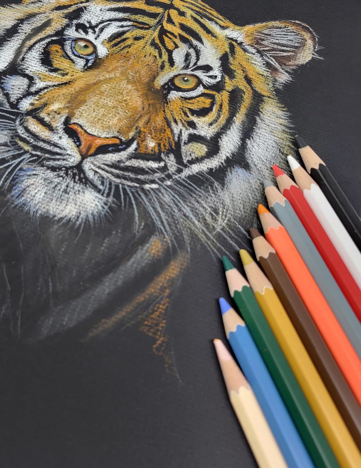 Charcoal Pencils, Set of 12 Premium, Watersoluble for Vivid Colors