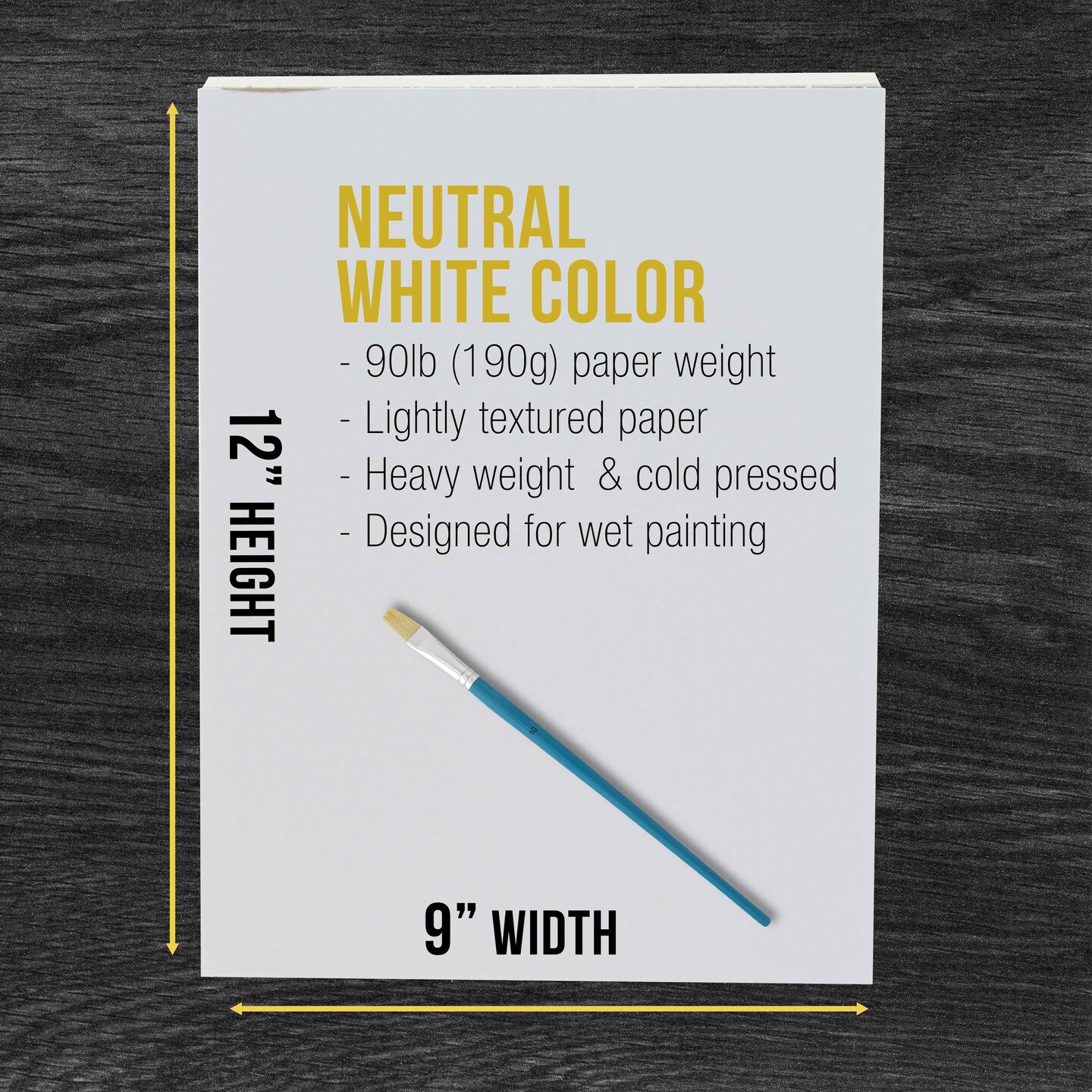 9" x 12" Premium Heavyweight Watercolor Paper Pad, Pack of 2 (24 Sheets Each), 140lb (300gsm) - Spiral Bound, Cold Pressed, Acid-Free, Wet, Water Color Paper - For Artists, Students