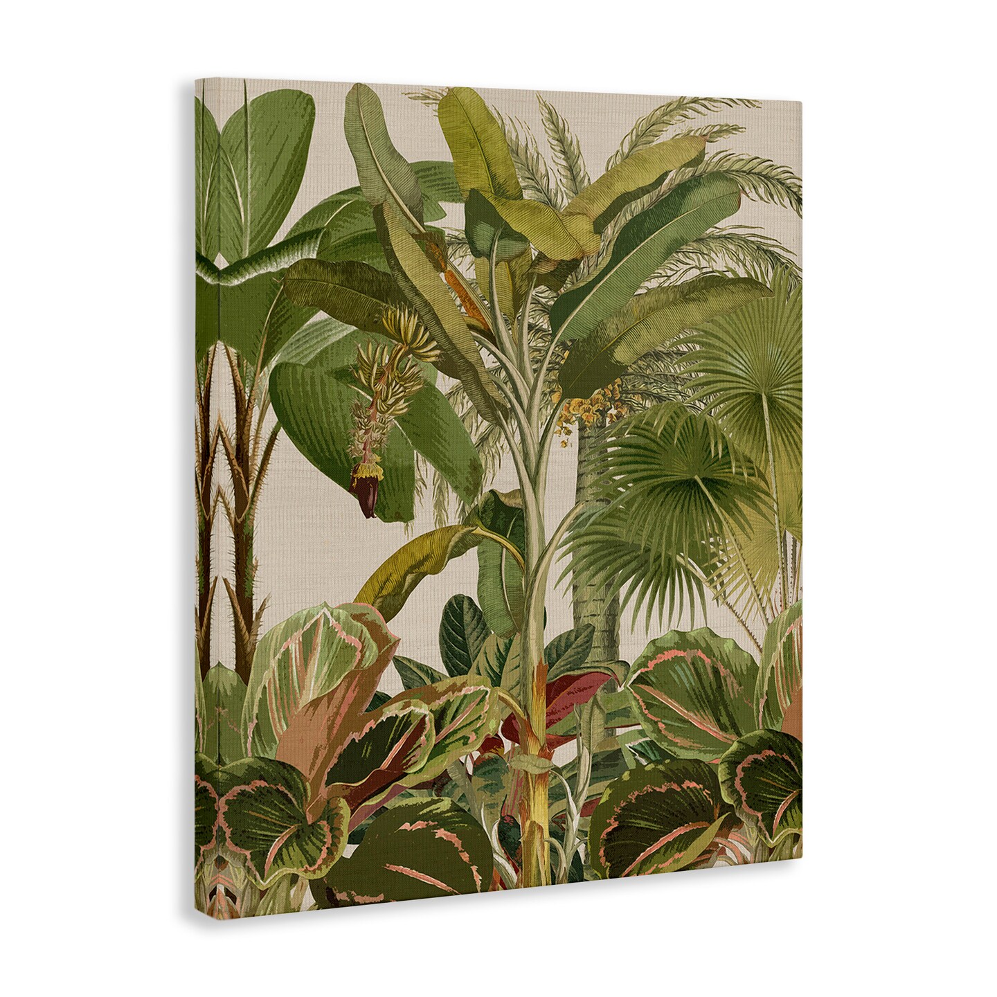 Stupell Industries Tropical Jungle Vegetation Canvas Design By Amber Sterling