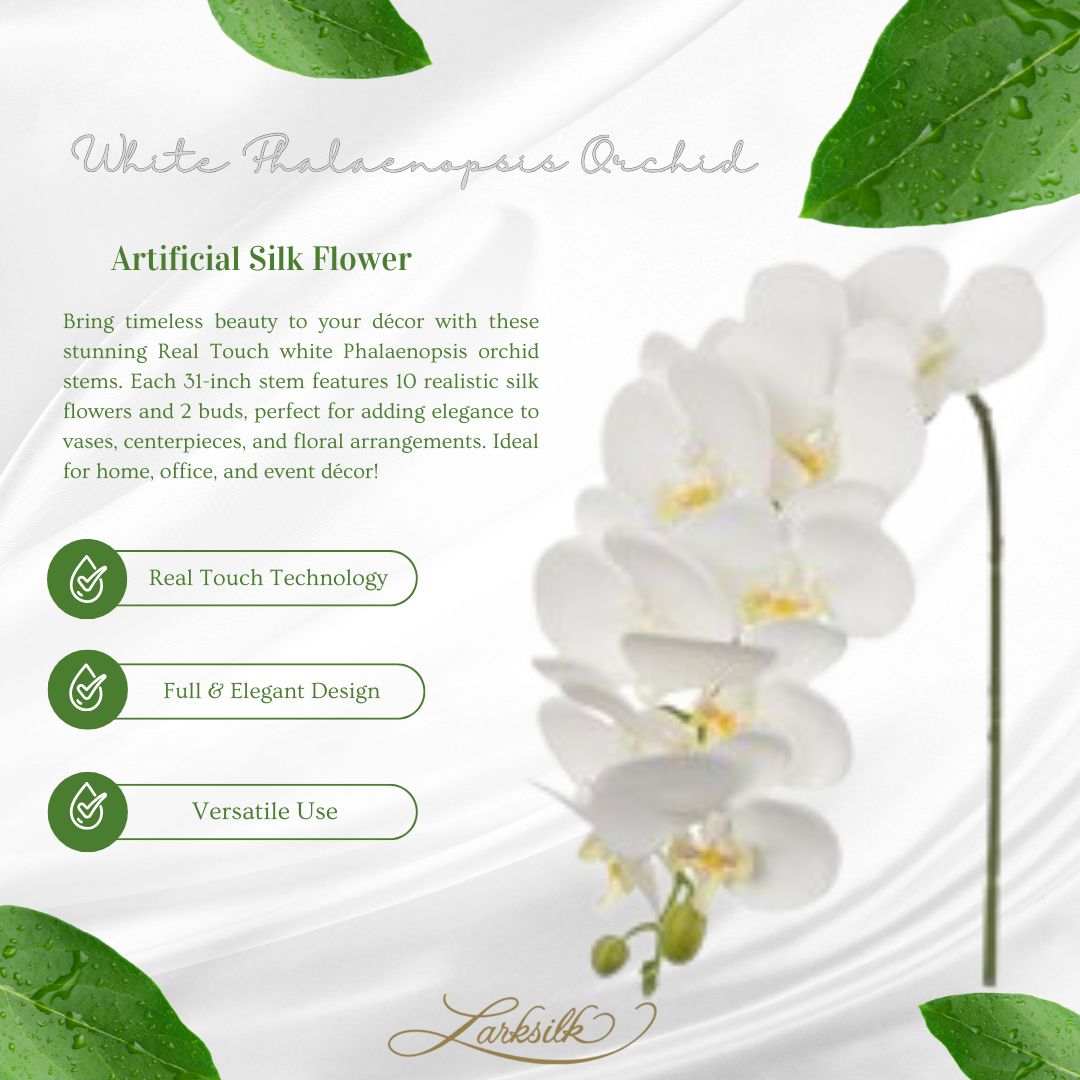 2-Pack: Real Touch White Phalaenopsis Orchid Stem, 31-Inch, 10 Realistic Silk Flowers &#x26; 2 Buds, Fake Orchids, Vase Fillers, Floral Home by Artificial Flowers