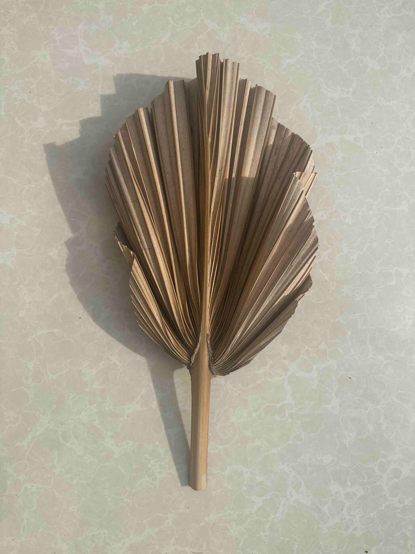 SAME DAY Ship, Handcrafted Natural Palm Leaf Decorations | Coastal Home Decor | Tropical Vibes | Sustainable Craftsmanship, Gift (3pcs)