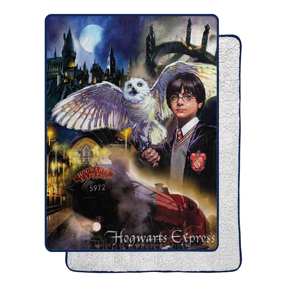 Warner Bros. Harry Potter Magic Montage Silk Touch Sherpa Blanket 60x80 Inches