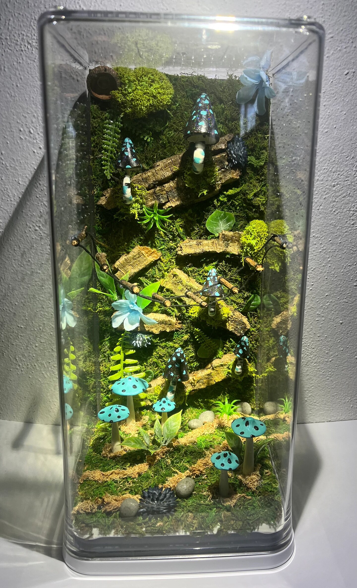 Terrario De Malla Magnética Para Arañas Saltarinas - Hábitat Pequeño Decorativo, Ideal Para Escritorio O Cría