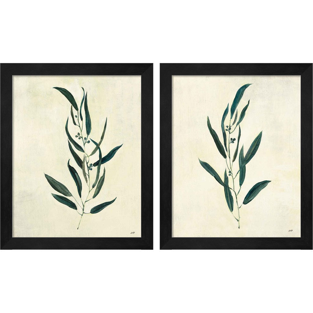 Botanical Study A by Julia Purinton, 2 Piece Black Framed Art Set