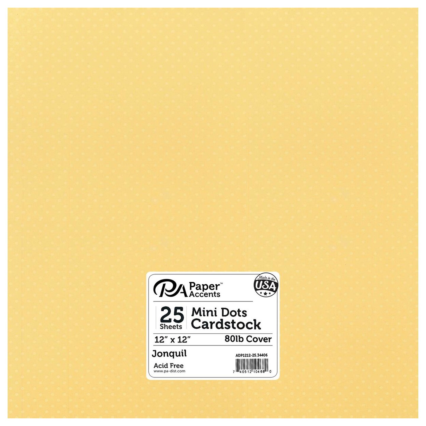 Mini Cardstock PA Paper Accents Mini Dots Cardstock 12