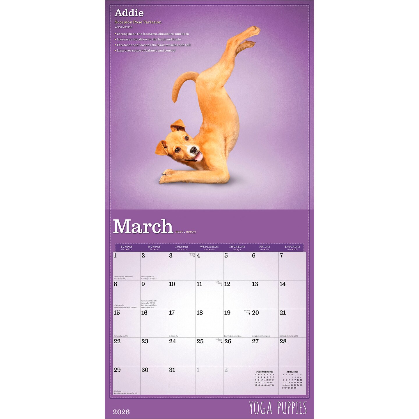 Yoga Puppies OFFICIAL | 2026 12 x 24 Inch (Hanging) Monthly Square Wall Calendar