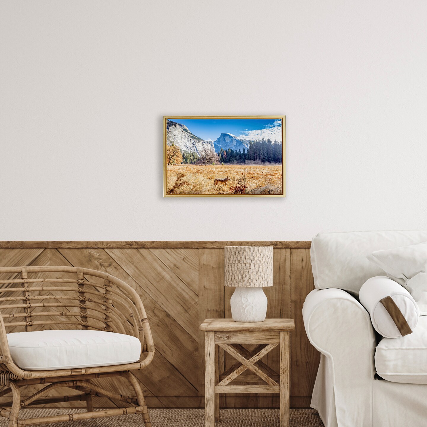 Stupell Industries Coyote in Mountain Prairie Floating Frame, design by Jeff Poe Photography