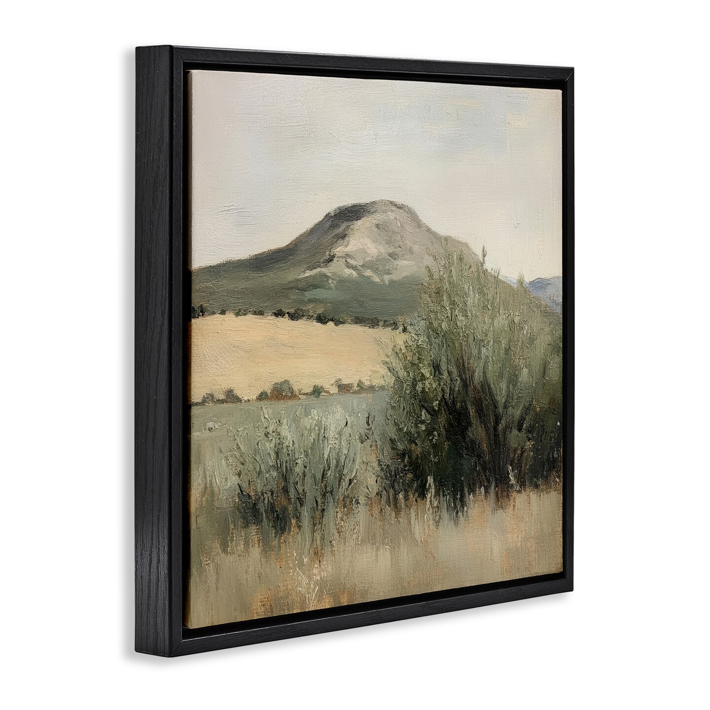Stupell Industries Spring Mountain Meadow Landscape Floating Frame, design by Petal Prints Design
