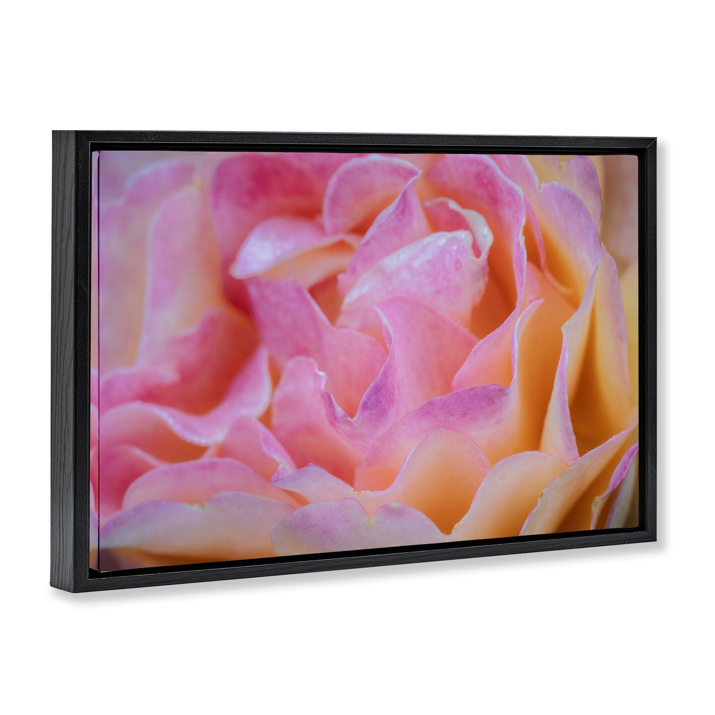 Stupell Industries Pink Floral Petals Palette Floating Frame, design by James Rodewald