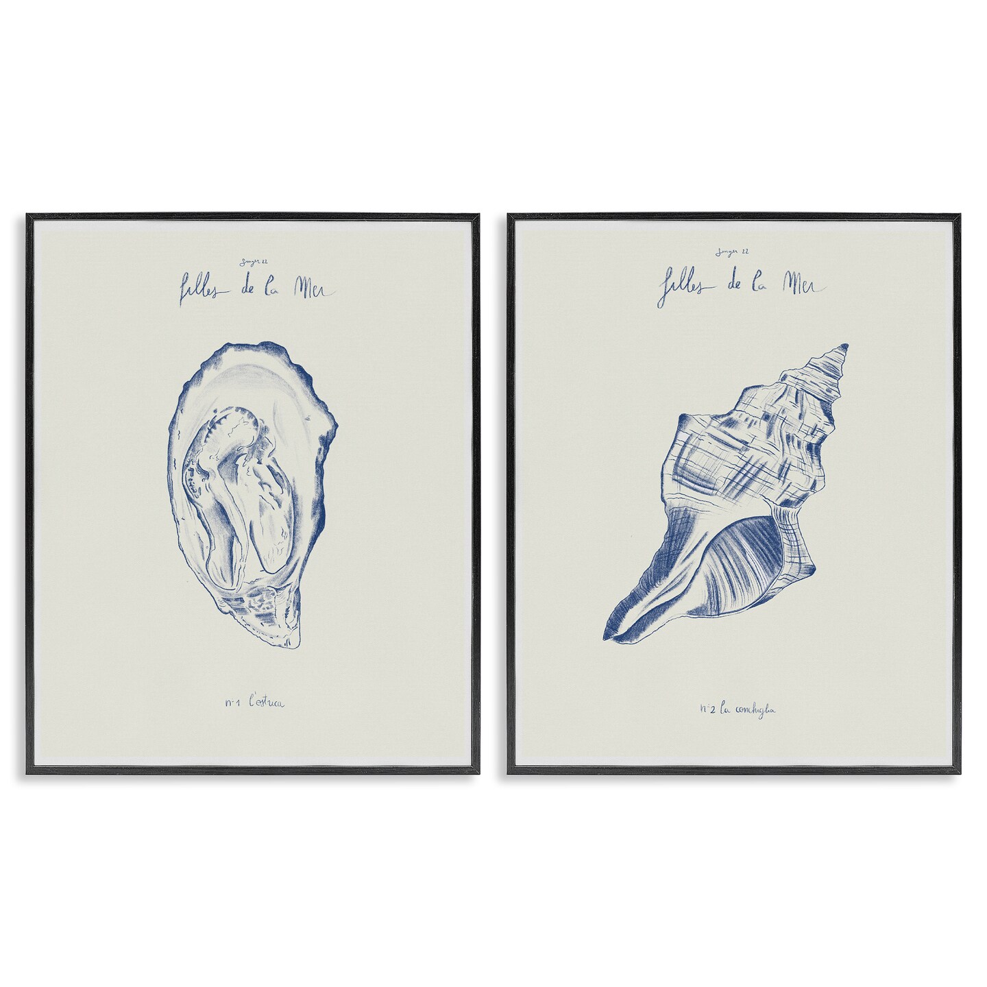 Stupell Industries Oyster & Conch with French Words 2pc Framed Giclee Set, design by 1x