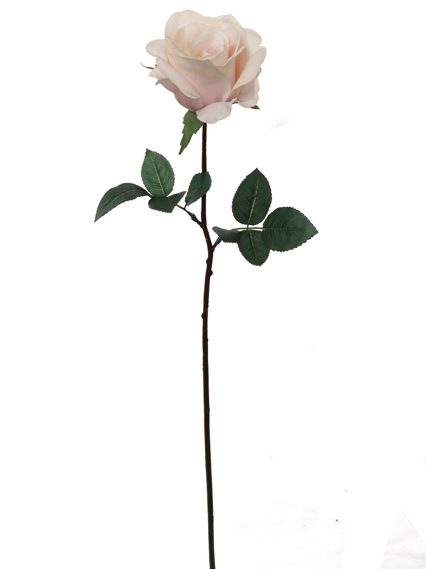 12PCS 27&#x22;REAL TOUCH ROSE 4&#x22;DIA -Pink