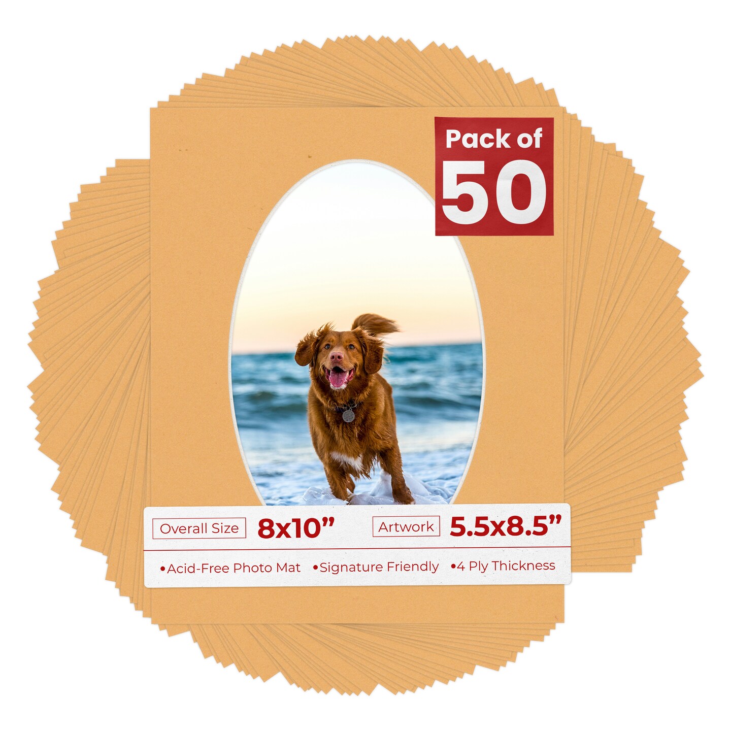 Topaz Orange Mat Board for 8x10 Frames - Oval Opening for 5.5x8.5 Photos