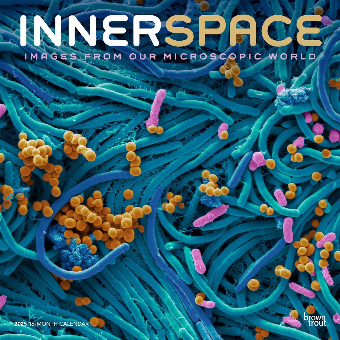 Innerspace | 2025 12 x 24 Inch Monthly Square Wall Calendar | Plastic-Free | BrownTrout | Science Space Exploration Nature