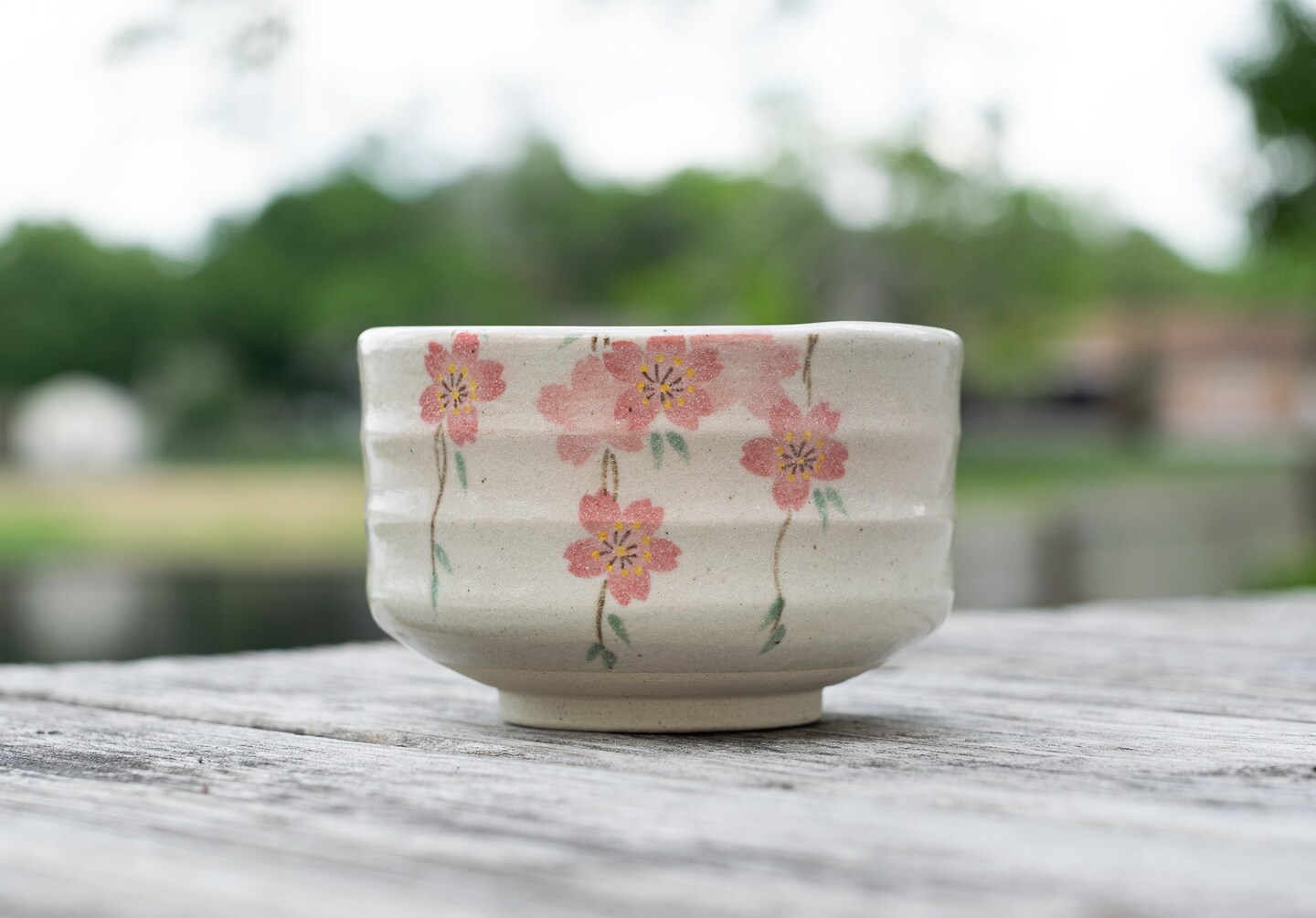 Handcrafted Ceramic Shidare Sakura Matcha Bowl Tea Set from Japan