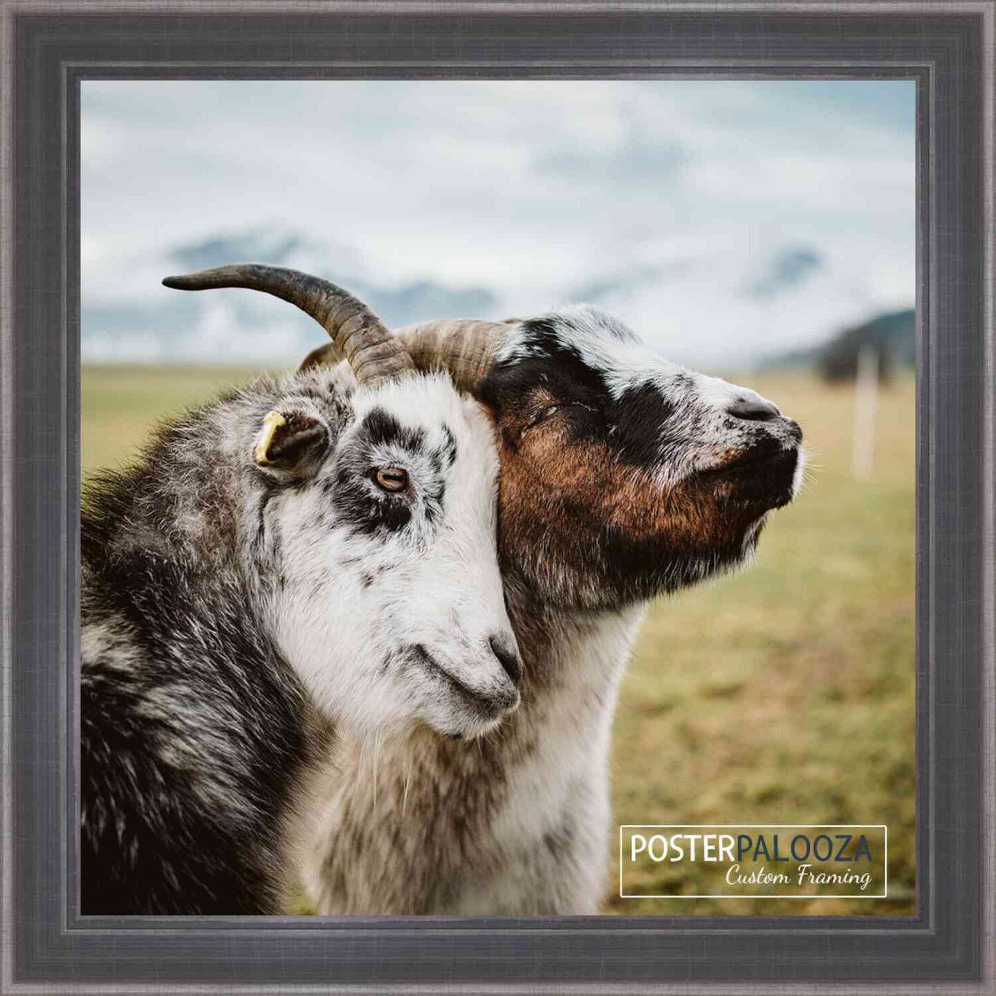 6x6 Elegant Picture Frame with UV-Resistant Acrylic &#x26; Acid Free Backing, Available in 2 Finishes - Brown and Silver