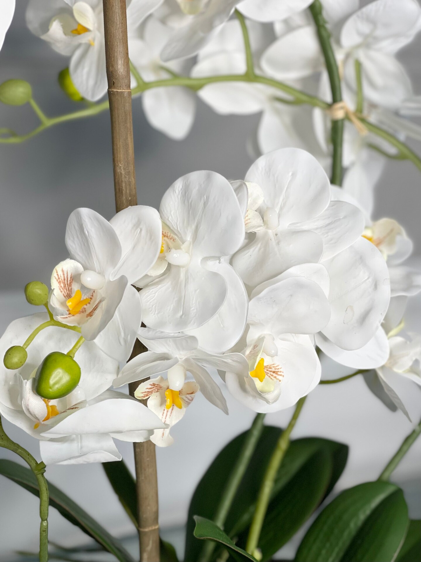 Amelie Silk Phalaenopsis Orchid Arrangement Silver Ceramic Vase