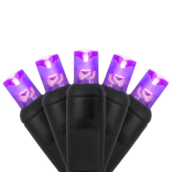 70 5mm Purple LED Christmas Halloween Lights, 4" Spacing, Black Wire