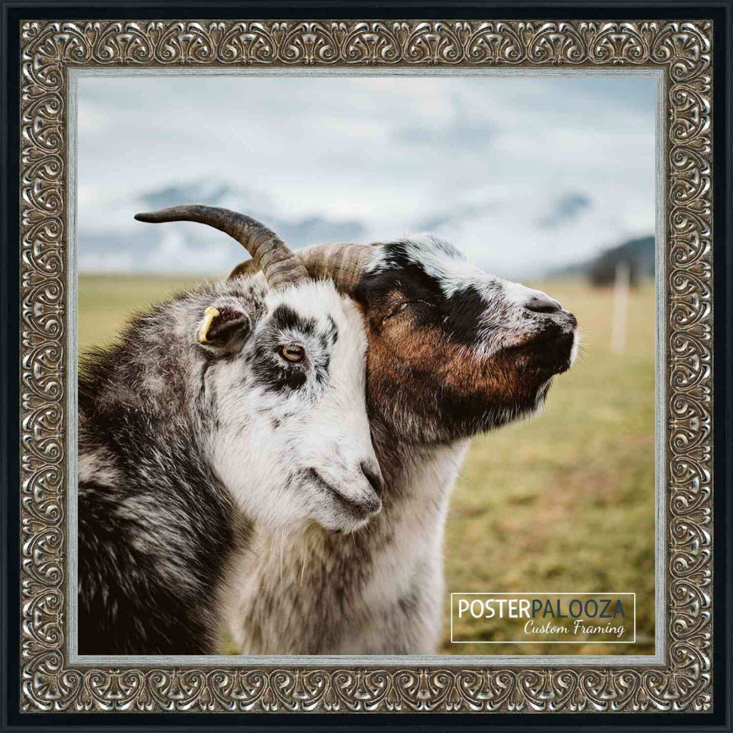 Square Ornate Silver Picture Frame - UV Acrylic, Foam Board Backing, Hanging Hardware