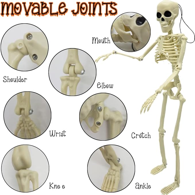 6PCS Skeleton Halloween Decorations, 16 in Full Body Poseable Small Skeleton Plastic Bones with Movable Posable Joints for Halloween Indoor Outdoor Party, Graveyard, Haunted House Accessories