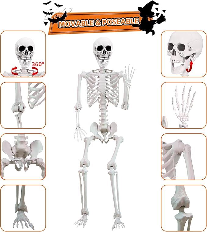 5.4 ft Halloween Skeleton Poseable Skeleton Life Size Skeleton Full Body Plastic Human Bones Standing Human Skeleton with Posable Joints for Halloween Decoration