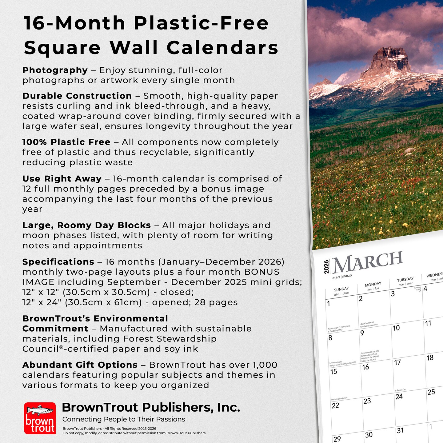 Moonstruck | 2026 12 x 24 Inch (Hanging) Monthly Square Wall Calendar | Foil Stamped Cover | Plastic-Free