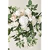 Ceremony Reception Hanging Eucalyptus Rose Arbor Arrangement Outdoor Party Swag Home Decorations