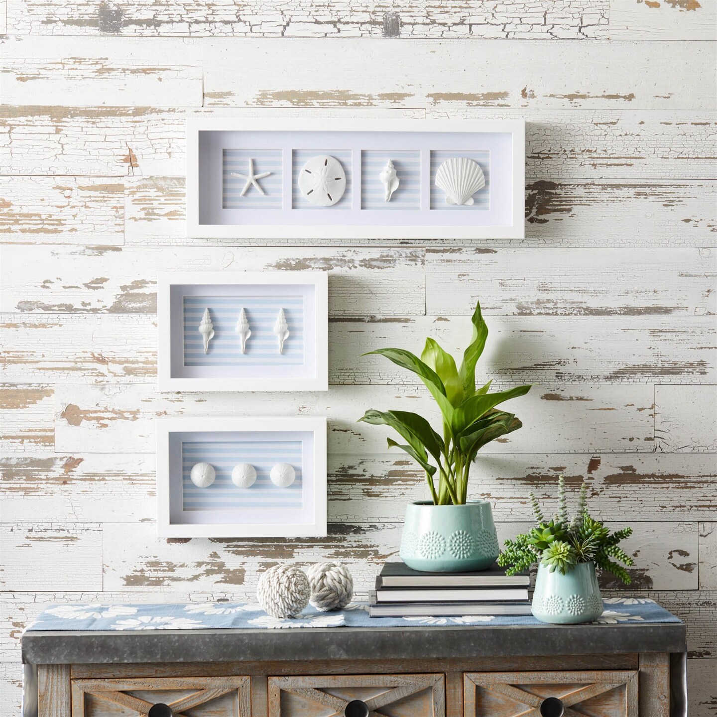 Melrose Sand Dollar and Shells Print Framed Wall Plaques - 26.5" - Set of 3