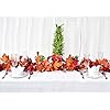 Colorful Autumn Decoration for Home Wedding Party Thanksgiving